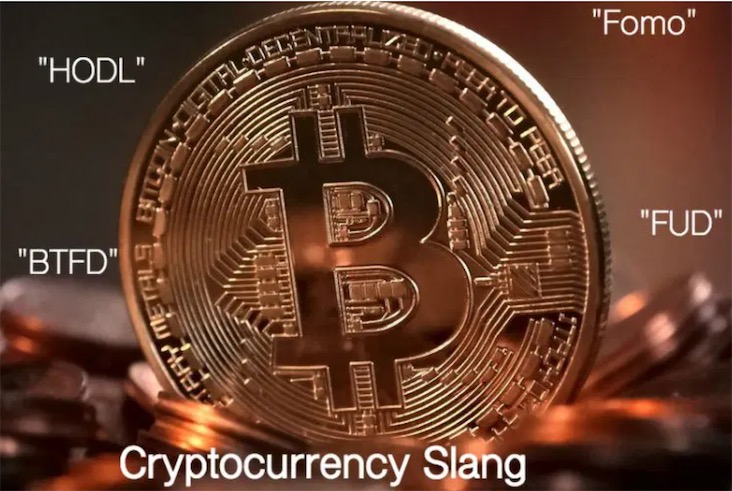 什么是HODL FOMO 巨鲸 FUD