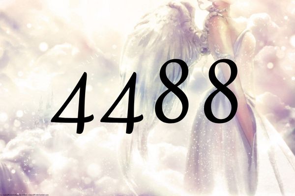 天使数字4488的含义