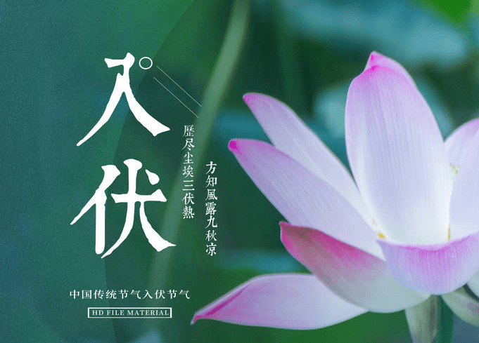 入伏是什么意思